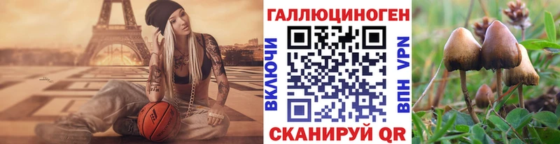 Галлюциногенные грибы Psilocybe  Купить  Калининец 